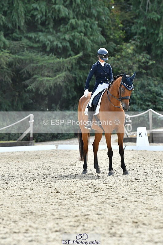 260802A-153029-07425 - Intermediate Bronze