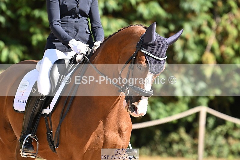 250808A-161433-01881 - 150-Beth.BainbridgeTop.Secret