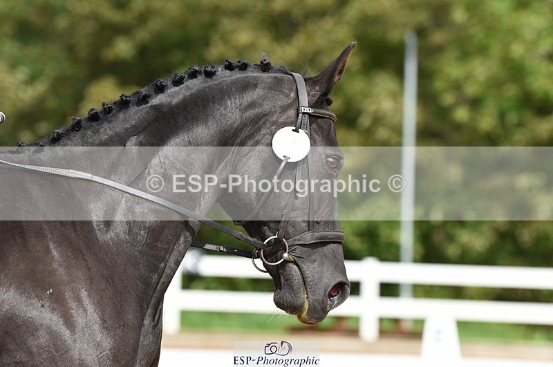 230912A-123032-00836 - Cls 8 Elementary 59