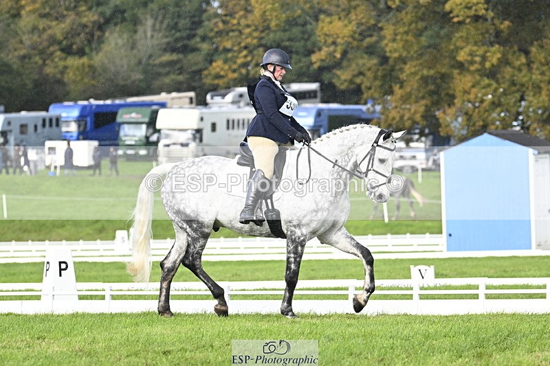 251023A-143914-04364 - D-330-Kathryn.Virjee