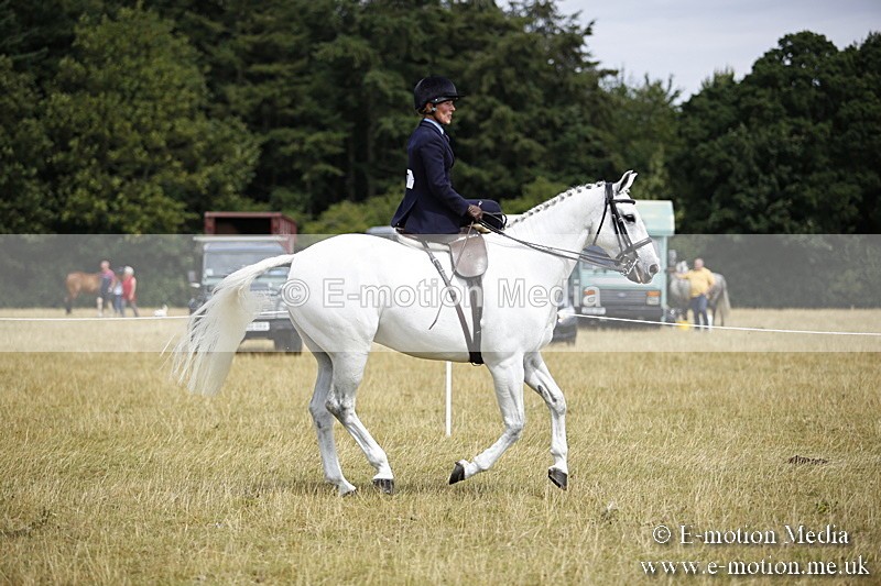 _C7A0271 - Side Saddle Classes BVRC Show 2018