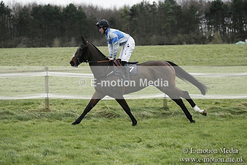 PtP 031217 239 - Hursley Hambledon Point-to-Point Larkhill 03/12/17