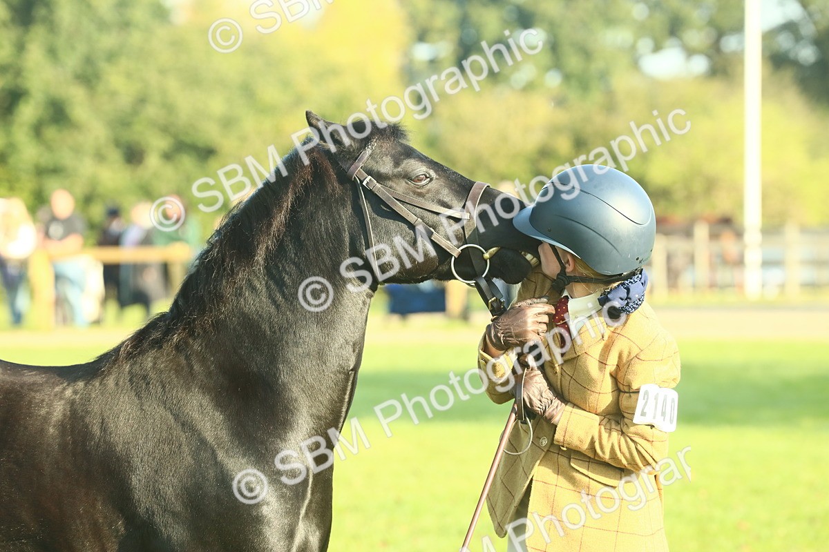 SBM_58455 - S37 - Starters In Hand Showing
