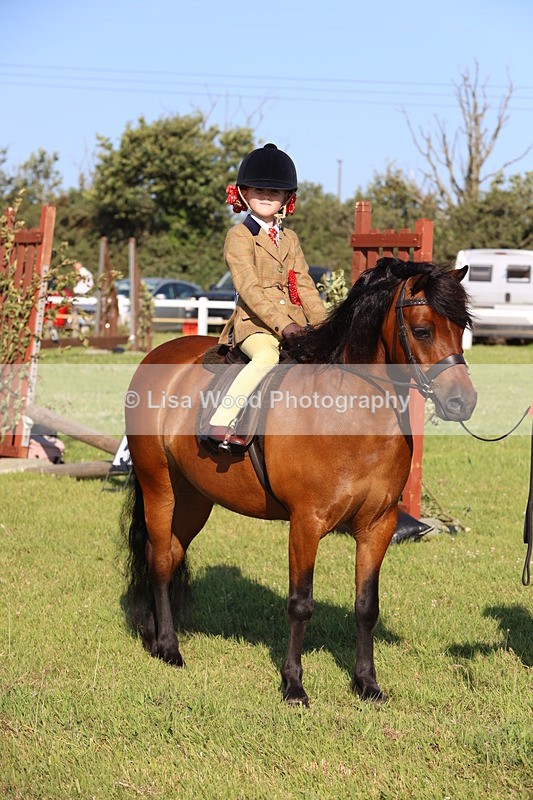 JPP_0880 - Class 16: Cornish Combination Leading Rein