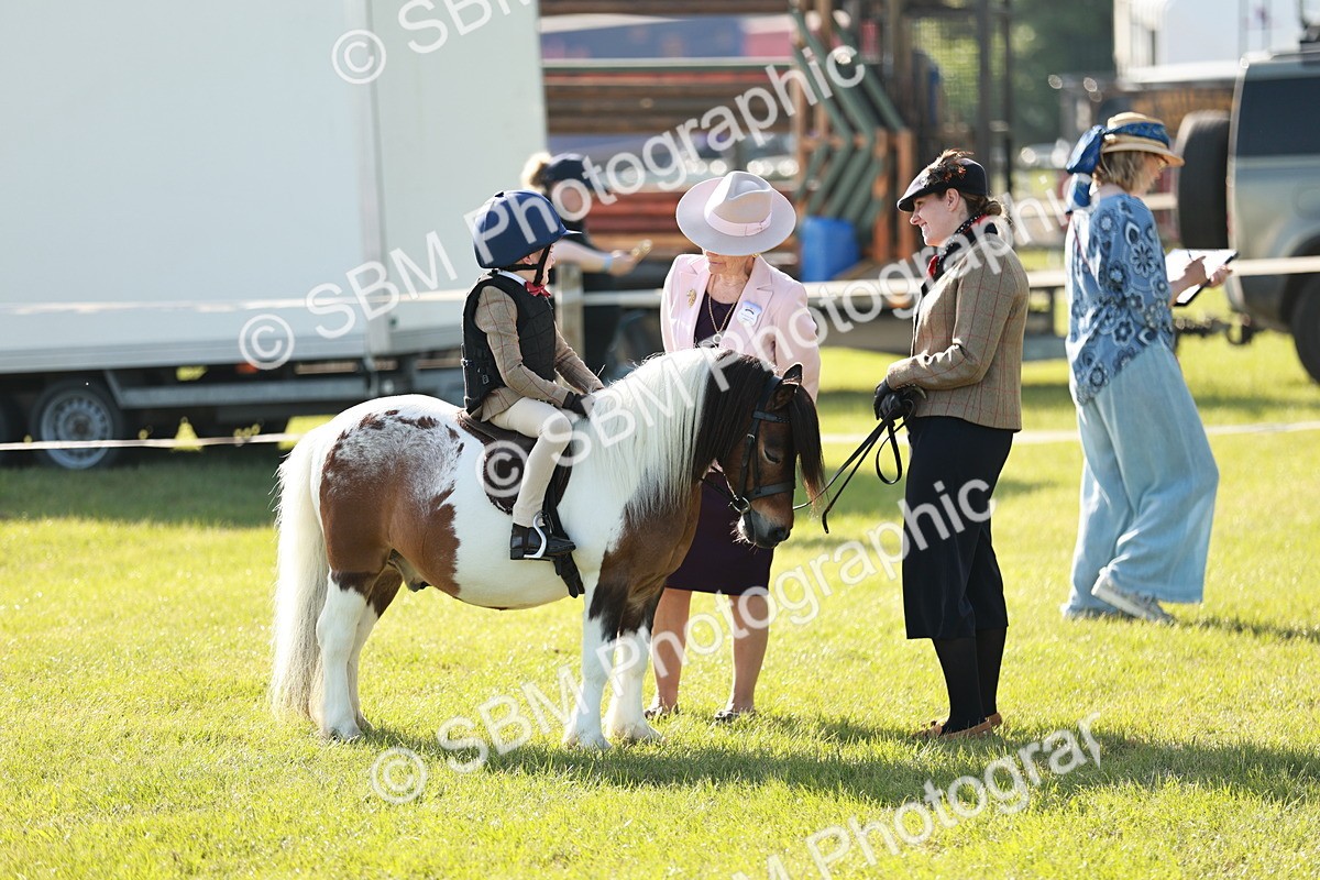 SBM_11174 - Class 106-107 - BSPS LIHS Working Sports Pony