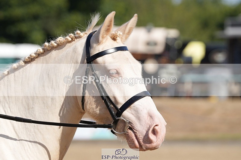 250822A-100929-19957 - WC Round 2 10.00 to 11.10