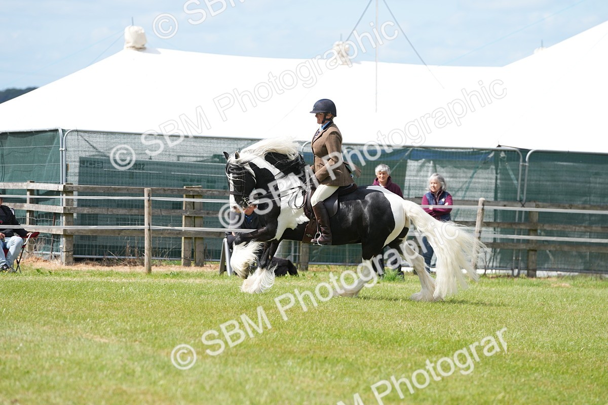 SBM_17274