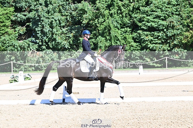 240811-154023-06750 - Inter I Gold