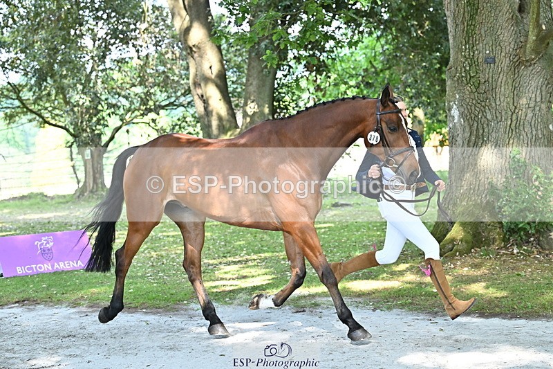 250521A-155455-00837 - B-378-Molly.Brown-KILRUSH.RED