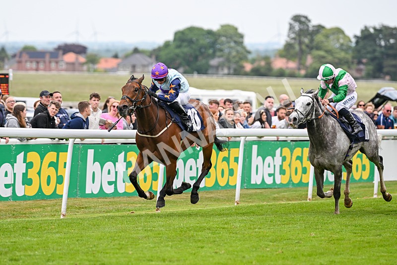 240525-Race 5-Mysteryofthesands-1549 - Race 5