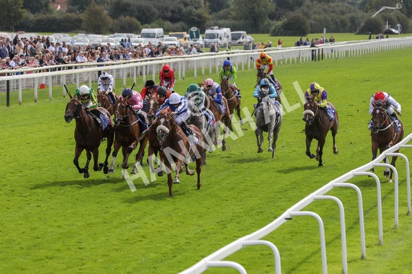 250823-Race 1-Marhaba The Champ-5750 - Race 1 1.50pm Sky Bet Handicap
