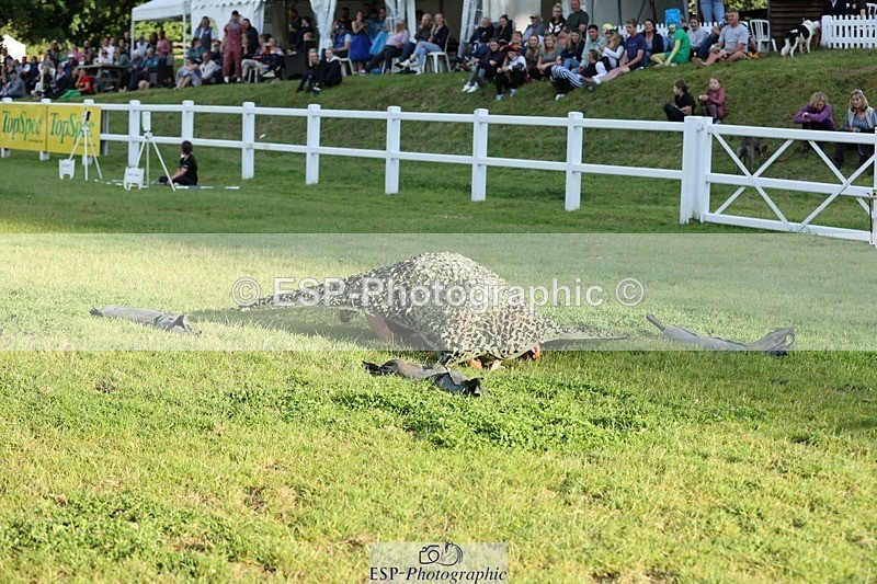 240711-193707-30100 - Cls 210 Jolly Jumps Run and Run