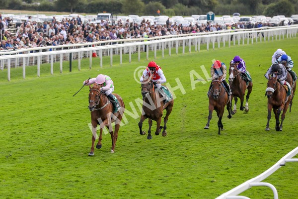 230824-Race 2-Vauban-8331 - Race 2 2.25pm Weatherbys Hamilton Lonsdale Cup Stakes