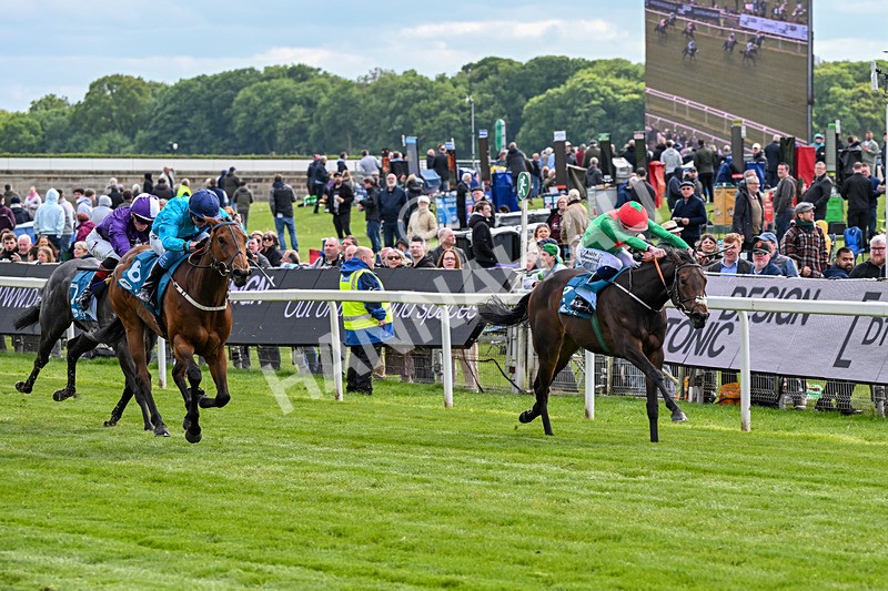 150526-Race 4-Love A Giggle-7736 - Race 4 3.30pm Design Tonic Out Of This World Spaces At The Races EBF Marygate Fillies' Stakes
