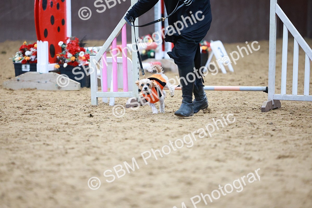 SBM_001765 - Class 3 - Horse & Hound (60cm)