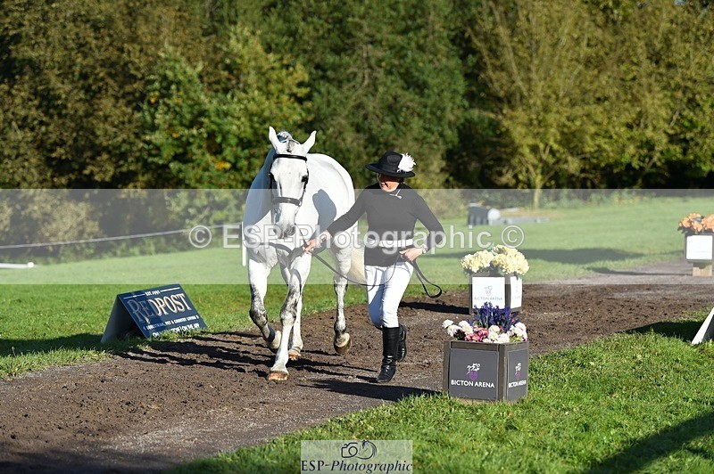 231022-095748-22141 - 434-SPINK.BUSTER-Sue.Parkes-TrotUp+SJ