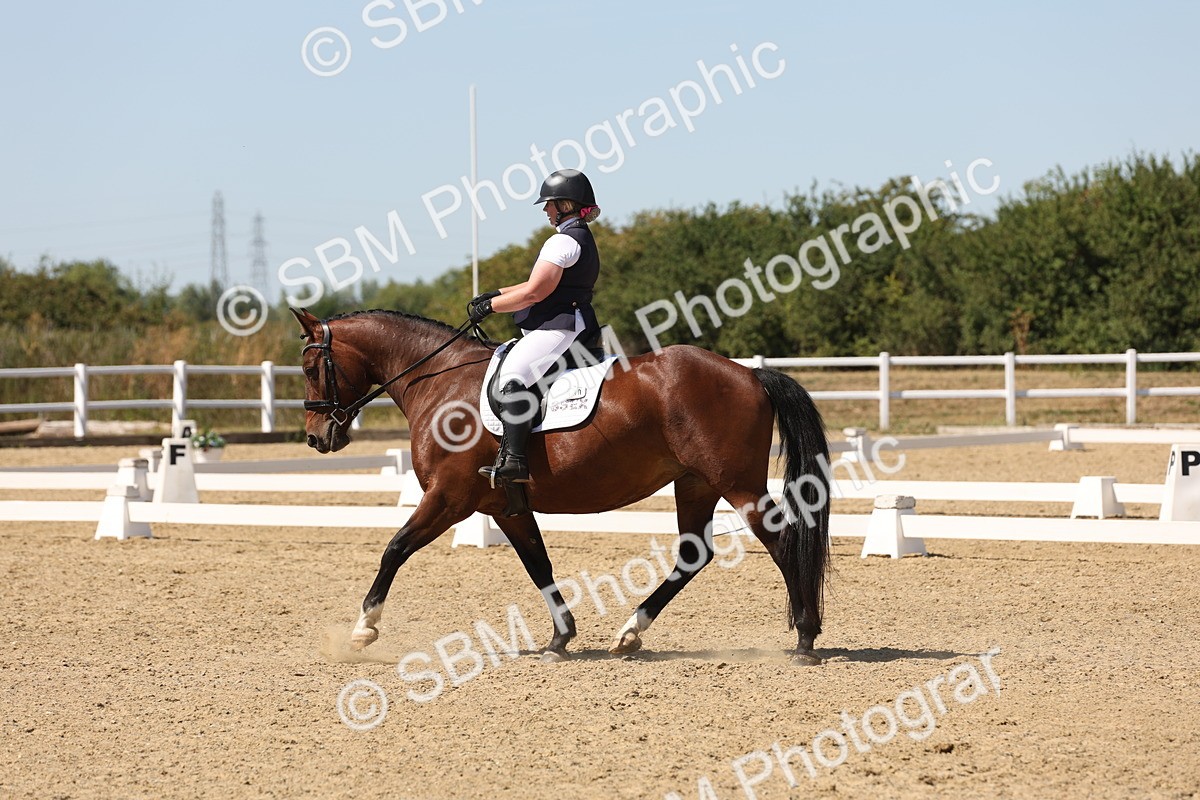 SBM_003003 - Elementary 4