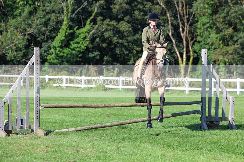 3E7A7731 - Class 2: Open Working Hunter pony