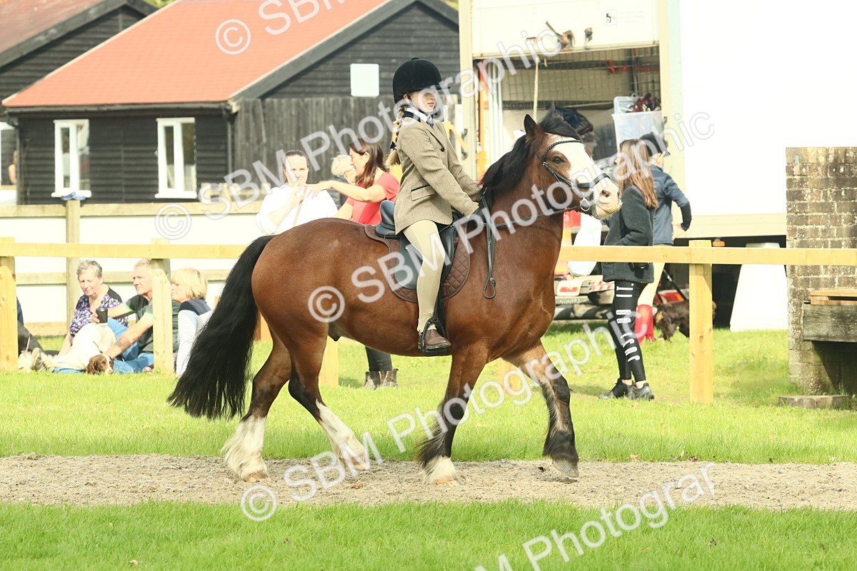 SBM_69018 - S58 - Mini Show Cob Ridden
