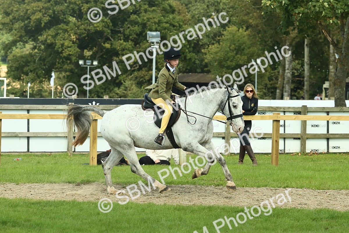 SBM_67558 - S56 - Coloured Pony Ridden