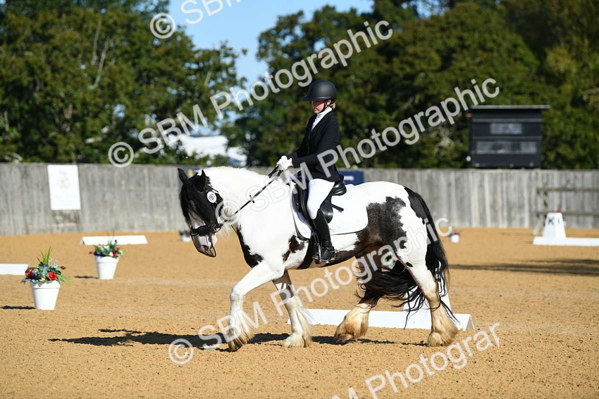 SBM_16277 - D4 - Small Tour Championship - Intro B