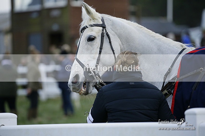 PtP 281121 0619 - Hursley Hambledon Point-to-Point Larkhill 28/11/21