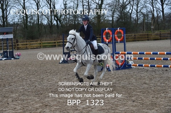 BPP_1323 - CLASS 5 Pony BritiNovice / 0.80m Open