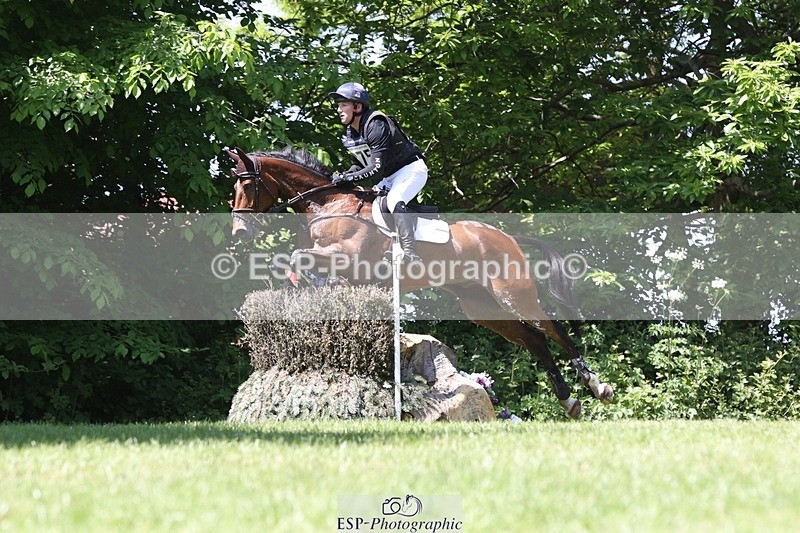 230527-135718-09537 - 375-FINLEY_DU_LOIR-Oliver_Townend-XC