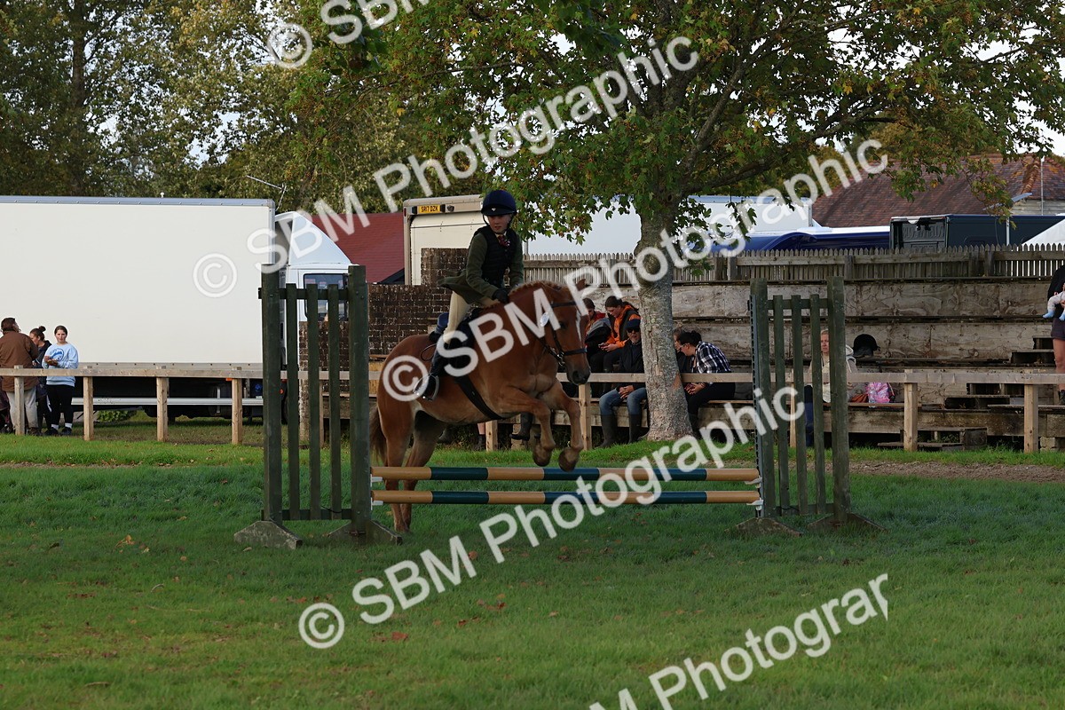 SBM_52591 - S13 - Pony Club Pony