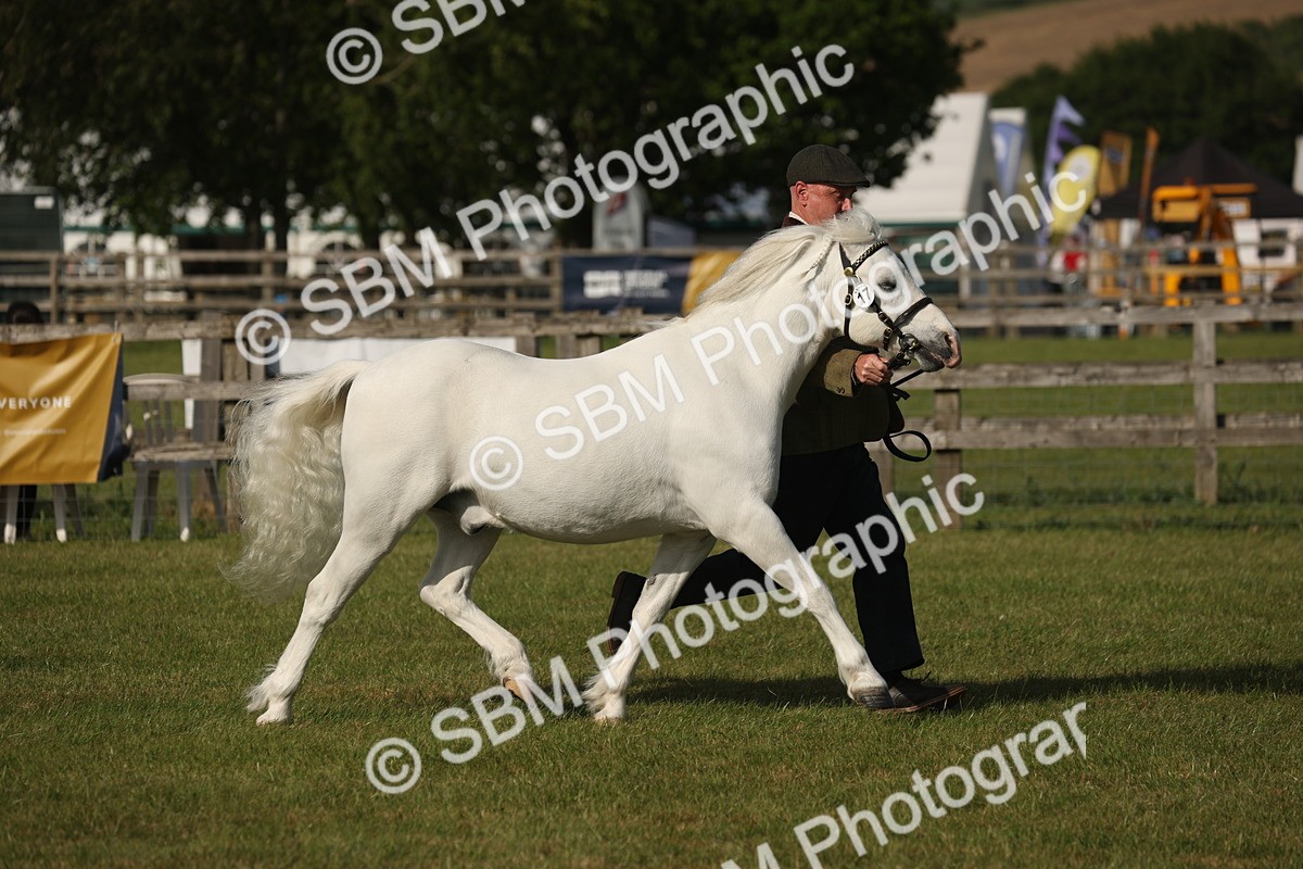 SBM_10378 - Class 33-38 - SSADL RIHS Qualifiers