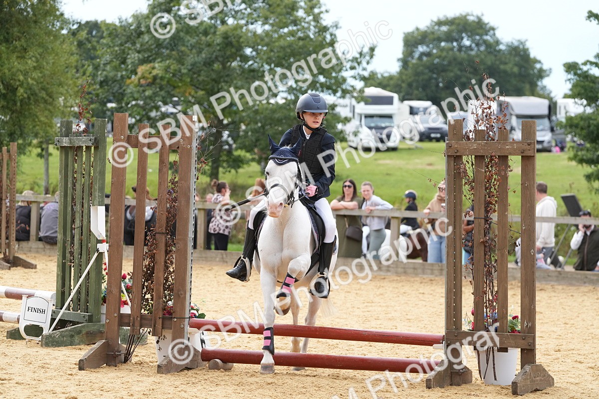 SBM_70626 - J3 - Mini Tour Junior Pony 40cm Championship