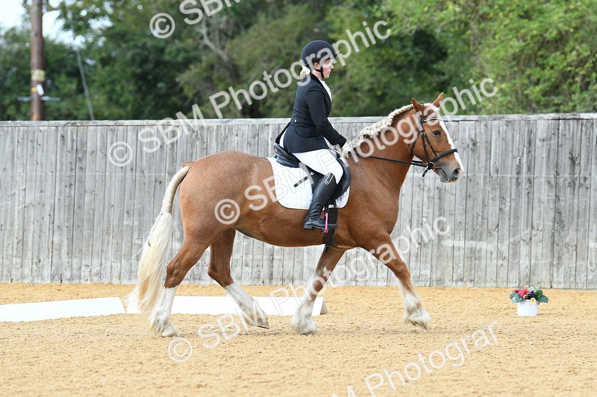SBM_03096 - D7 Small Tour Championship Prelim 1