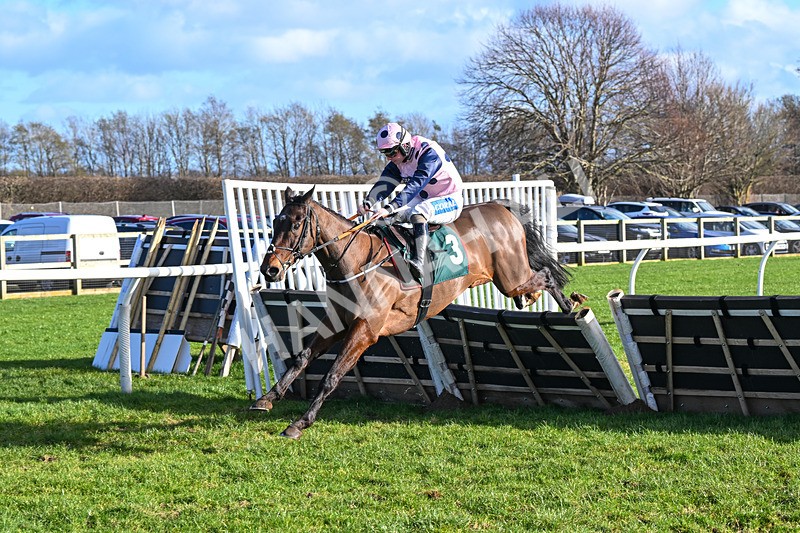 120224-Race 1-Pickanumber-0800 - Race 1