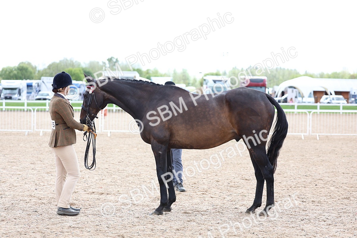 SBM_15277 - Class 313 - IH Retired Racehorse