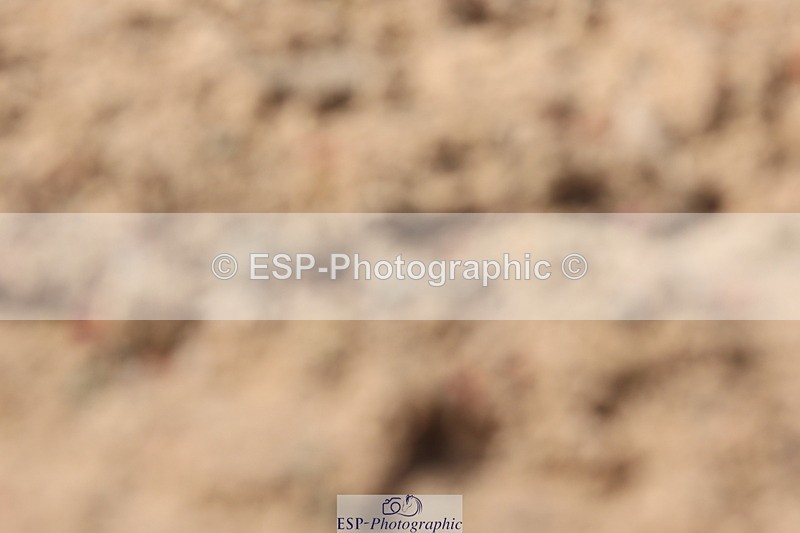 240706A-164859-04495 - Cls 9 RT Novice 27