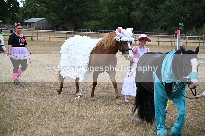 WJ6_8708 - Class 11 Fancy Dress