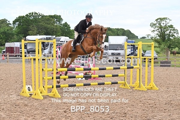 BPP_8053 - CLASS 11 SUN Senior BritiNovice/ 90cm Open