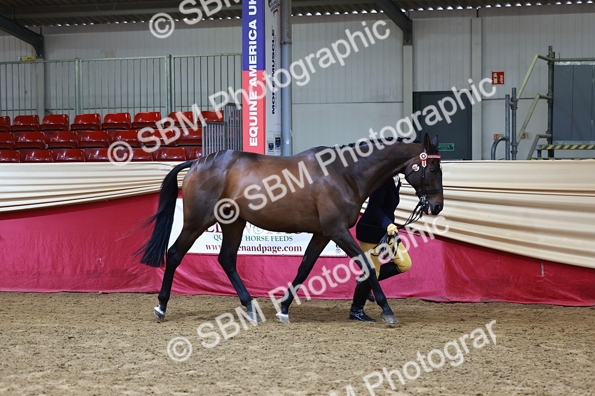 SBM_22111 - Class 902 - Supreme Final - IH Diamond