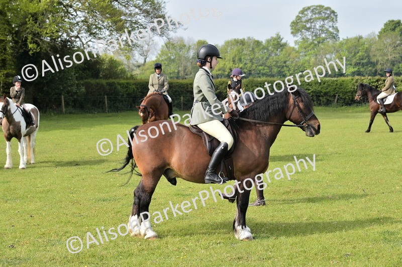 20260426-0915 - Class 18 - Novice Showing
