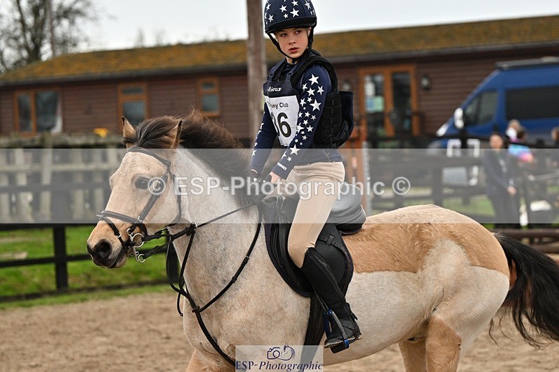 241110-155010-01324 - 80-85cm Arena Eventing