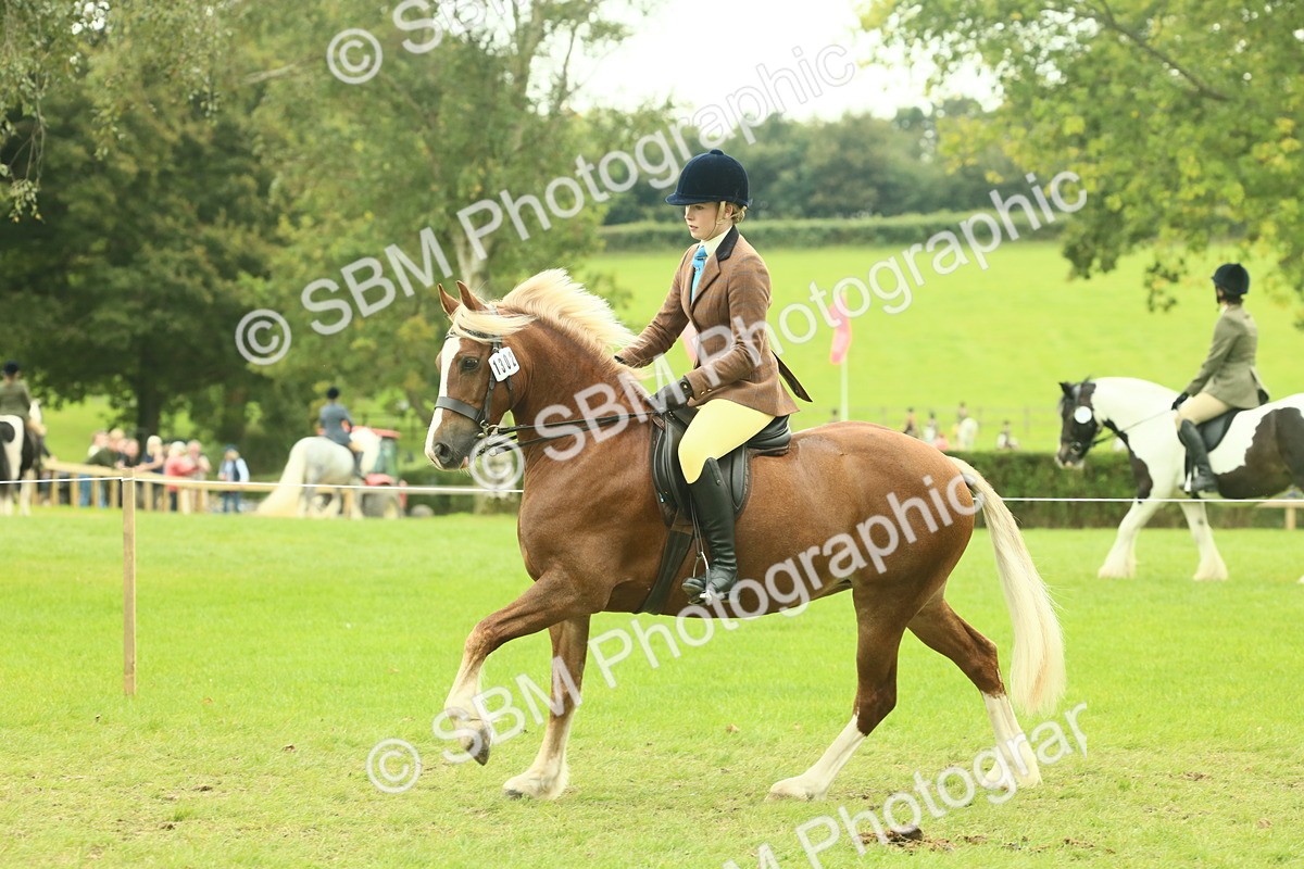 SBM_72068 - S60 - Mountain & Moorland Ridden Large Breeds