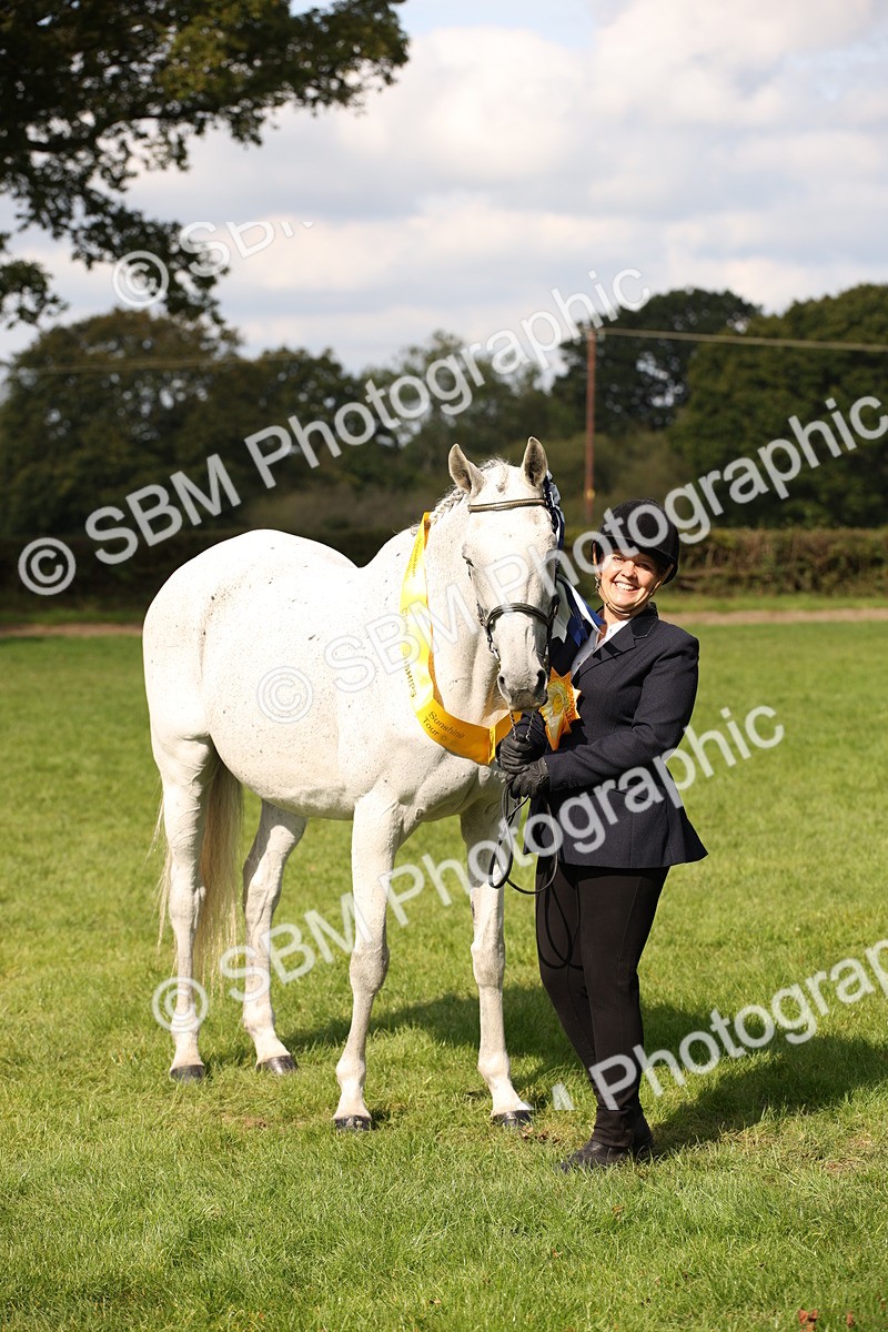 SBM_62967 - In Hand Horse Supreme Championship
