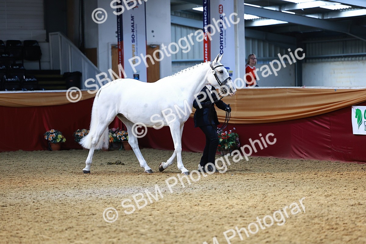 SBM_23047 - Class 903 - Supreme Final - IH Pre Vet