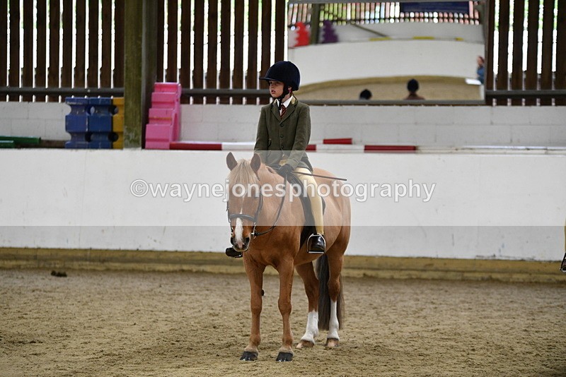 WJ5_7034 - Class 10 Childs Pony