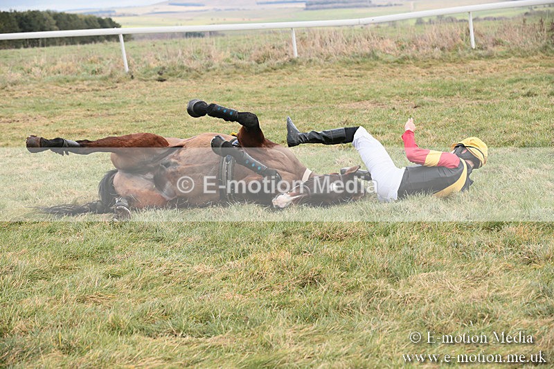 PtP 230119 72 - Royal Artillery Point-to-Point  - Larkhill  - 26/01/19