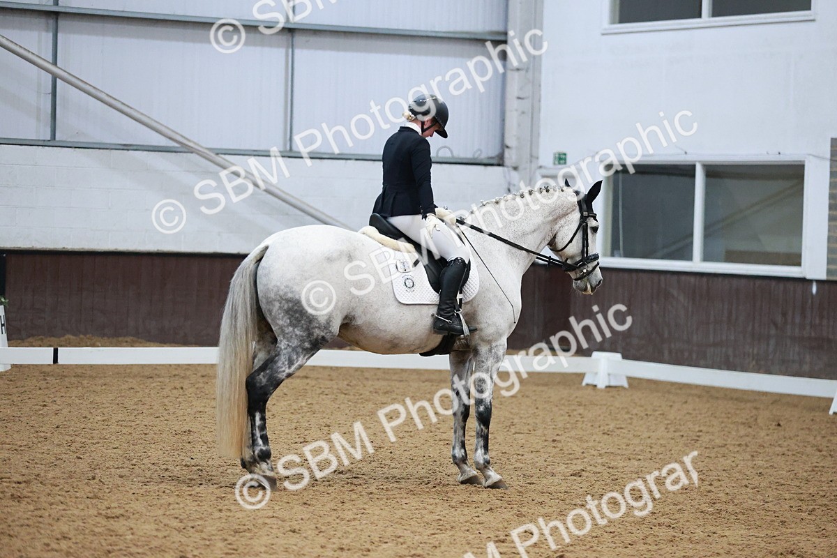 SBM_004548 - Ring 3 - International -  Working Hunter Classes 23-2-25