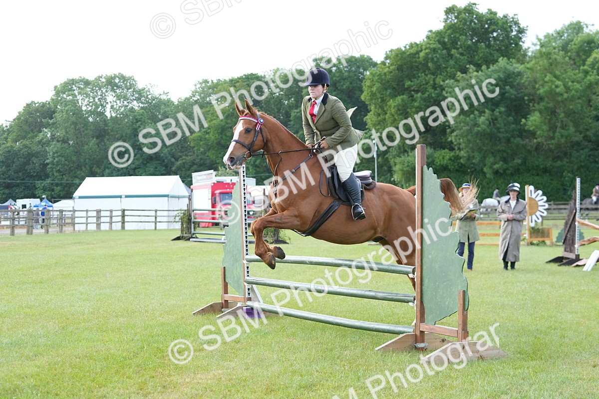 SBM_10469 - Class 97-98 - LIHS BSHA Rising Star Working Show Horse Hunter