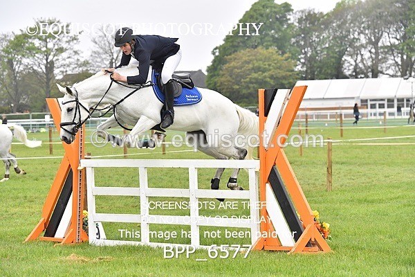 BPP_6577 - CLASS 1 Senior Newcomers/ 1.10m Open