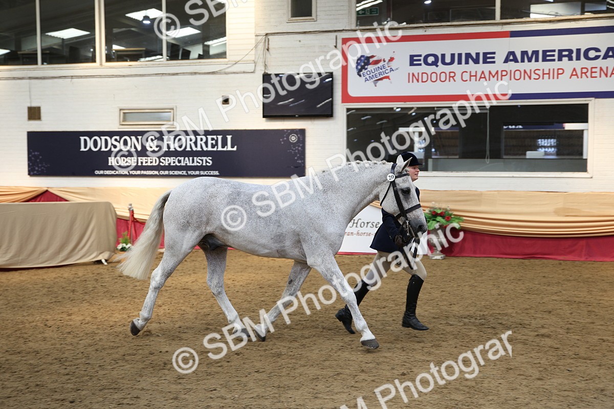 SBM_24296 - Class 905 - Supreme Final - Ridden Veteran