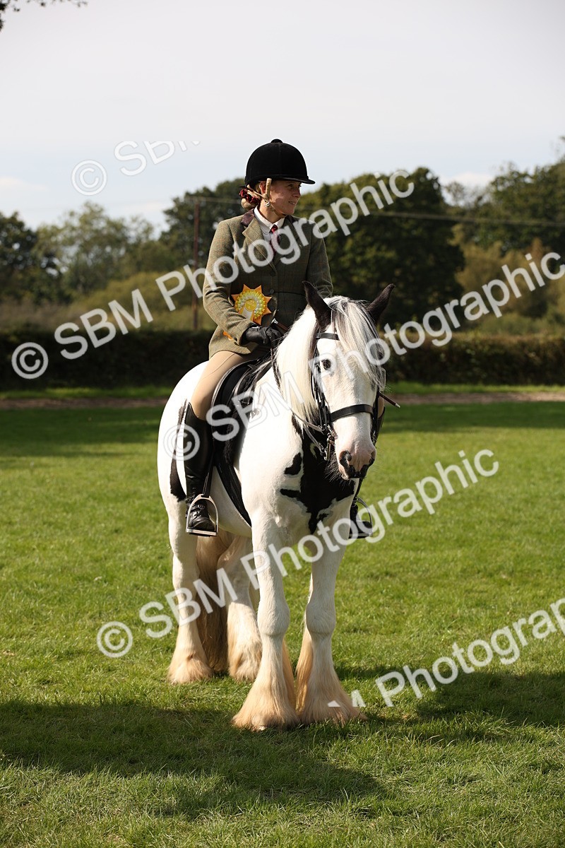 SBM_70152 - S65 - Piebald & Skewbald Horse Ridden